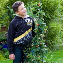 Klettererdbeere Hummi® "KletterToni", 9 Cm Topf Im 6er Set