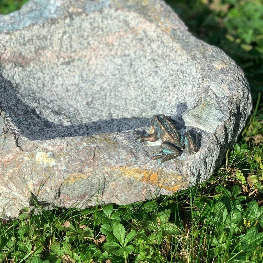Rottenecker Vogeltränke Mit Frosch & Eidechse, Granit/Bronze, 10 X 25 X 20 Cm 4 Rottenecker Vogeltränke Mit Frosch & Eidechse, Granit/Bronze, 10 X 25 X 20 Cm – Bild 2