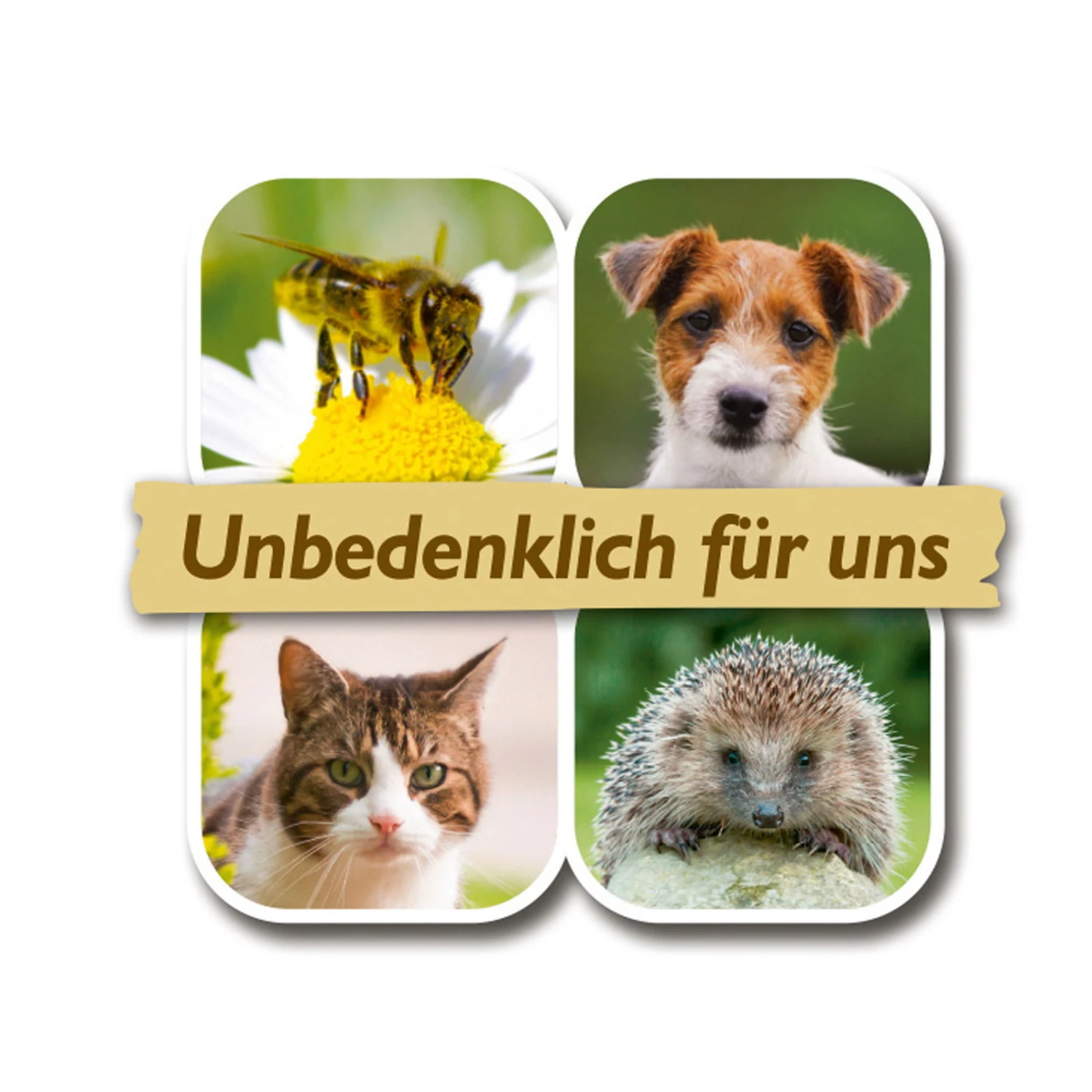 Azet Rasendünger, 5 Kg 5 Azet Rasendünger, 5 Kg – Bild 3