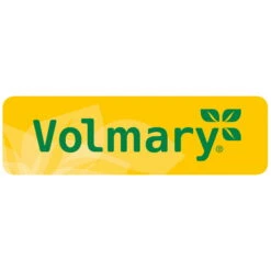 Bio Bananenpflanze, Topf-Ø 12 Cm, 2er-Set -Biohort Garten Geschaft 162022 Volmary Logo Gruen Gelb Abgerundet 104359